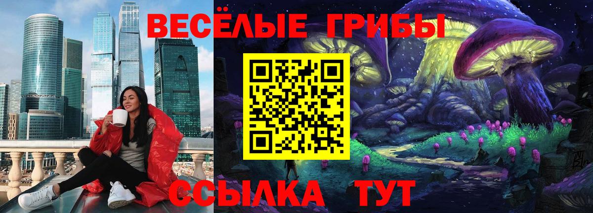 Новодвинск  купить наркотик  Вход с VPN  Псилоцибиновые грибы Psilocybine cubensis 